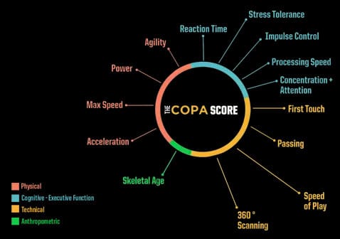 copa-score-spider