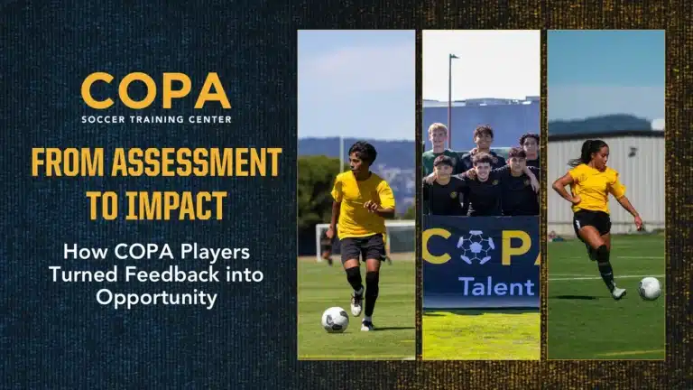 From assessment to impact blog